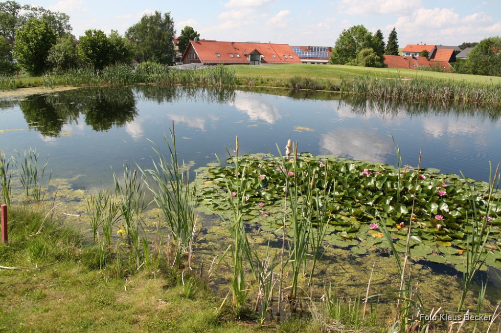 2011-06-22_KB ( 8).JPG